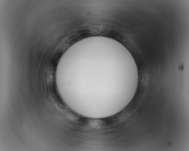 X0000115230226200911201605