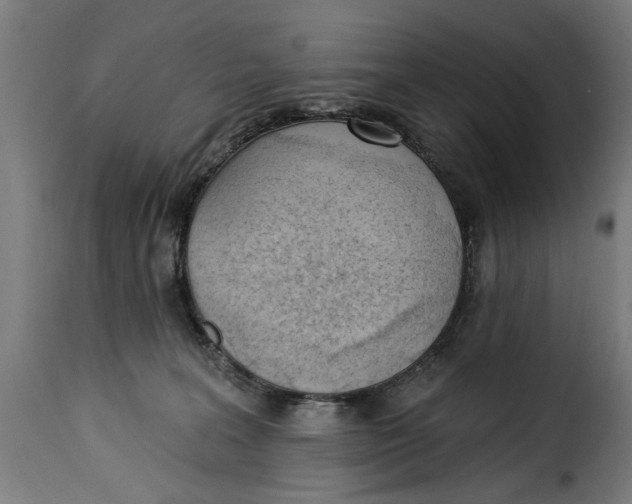 X0000115230227200911201605