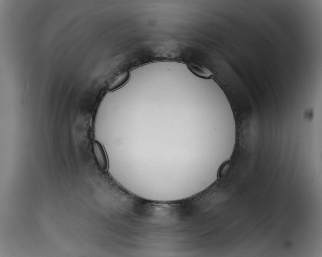 X0000115230229200911201605