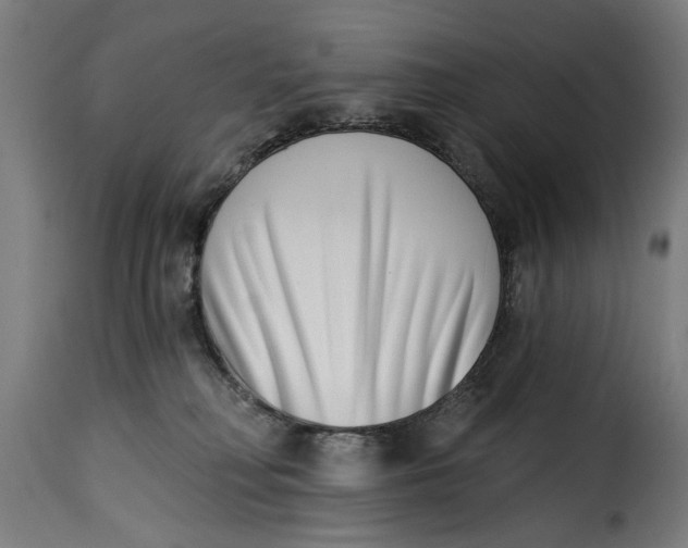 X0000115230230200911201605