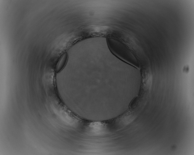 X0000115230231200911201605