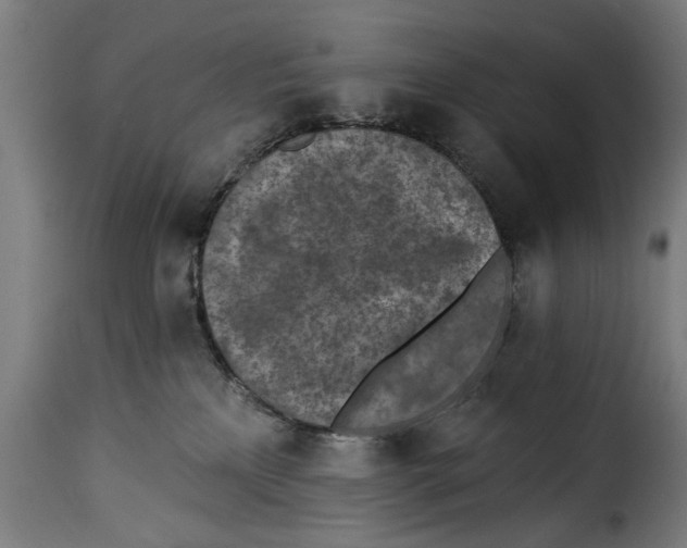 X0000115230233200911201605