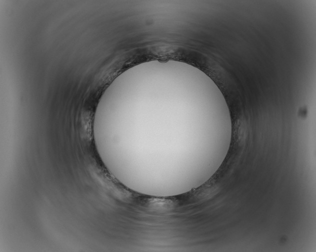 X0000115230234200911201605