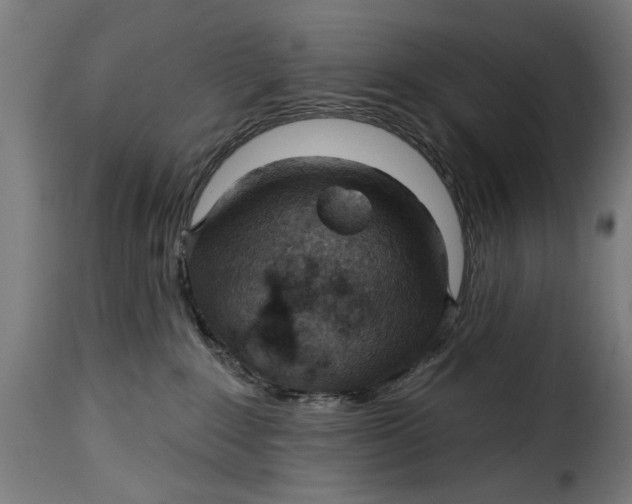 X0000115230235200911201605