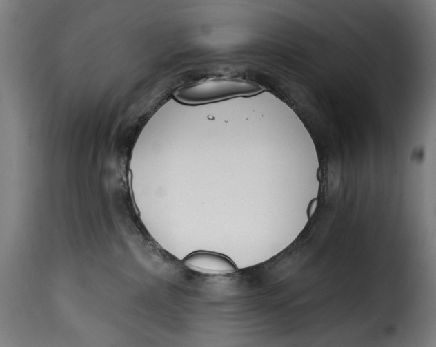 X0000115230236200911201605