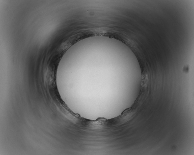 X0000115230238200911201604