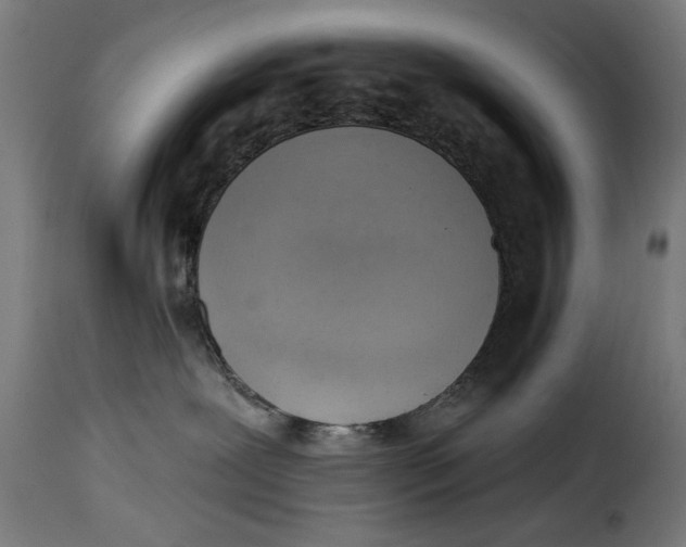 X0000115230239200911201604