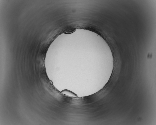 X0000115230240200911201604