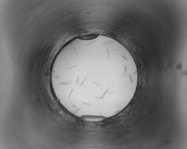 X0000115230241200911201604