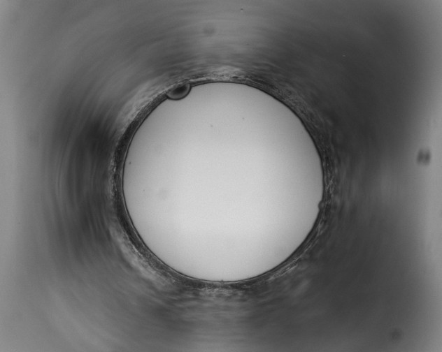 X0000115230242200911201604