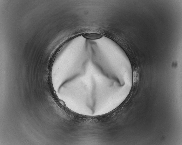 X0000115230243200911201604