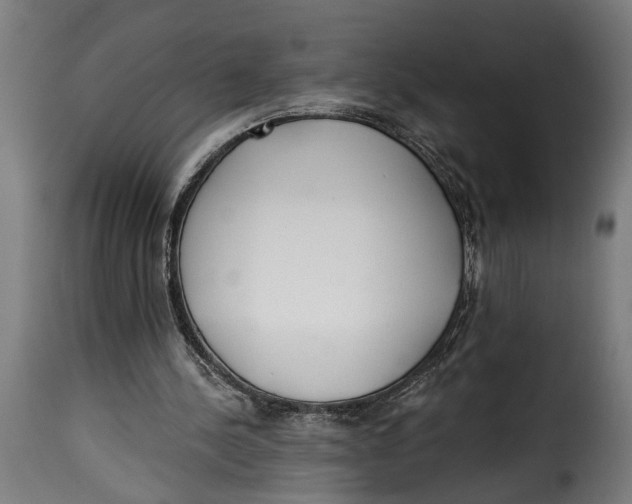 X0000115230244200911201604