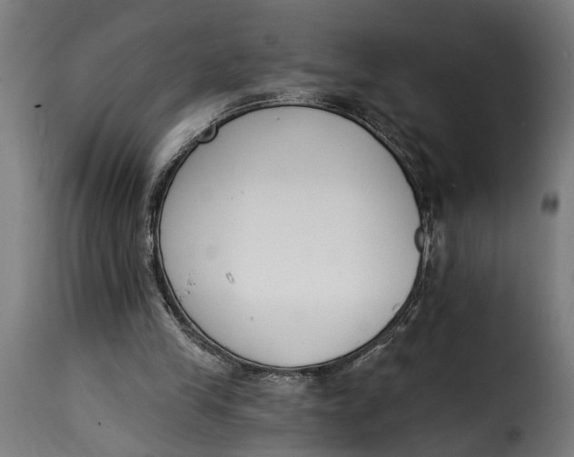 X0000115230245200911201604