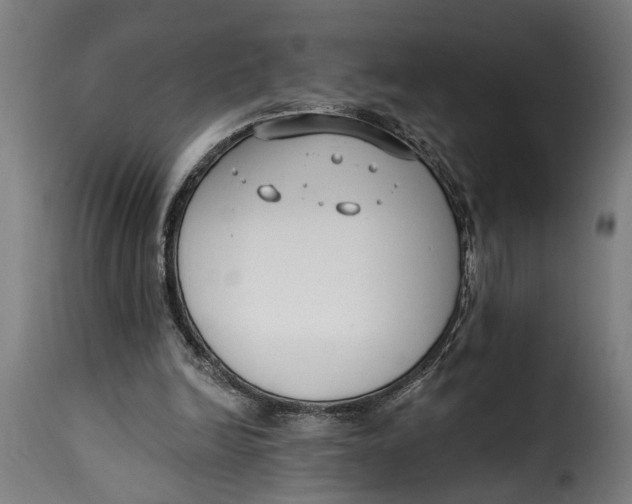 X0000115230246200911201604