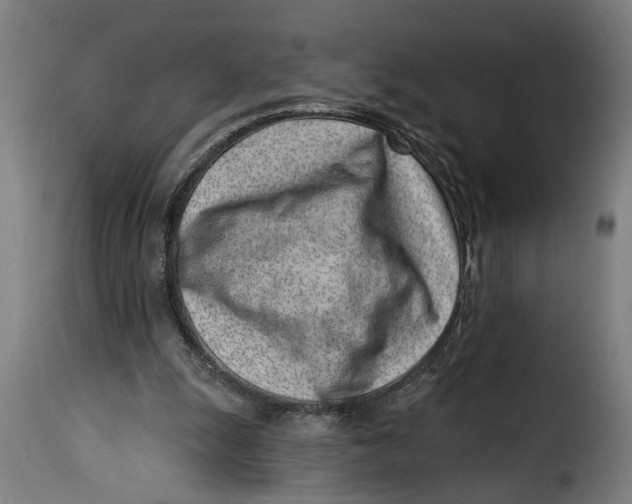 X0000115230247200911201604