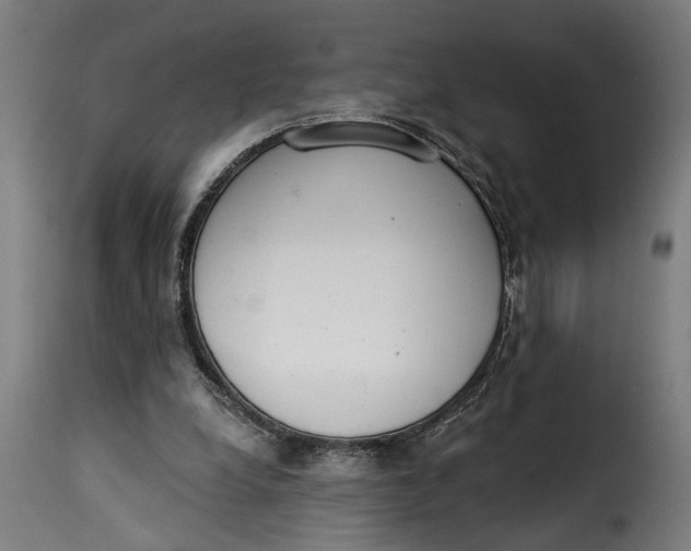 X0000115230248200911201604