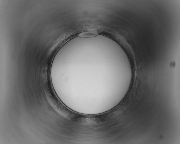 X0000115230250200911201604