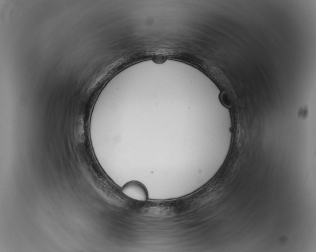 X0000115230251200911201604