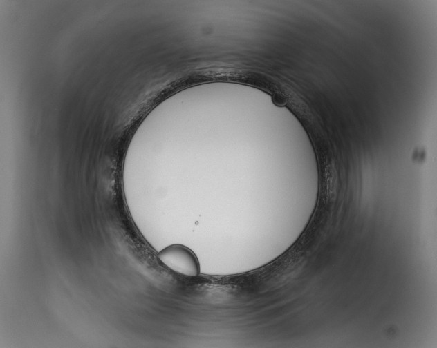 X0000115230255200911201604