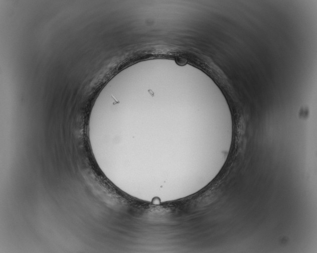 X0000115230257200911201604