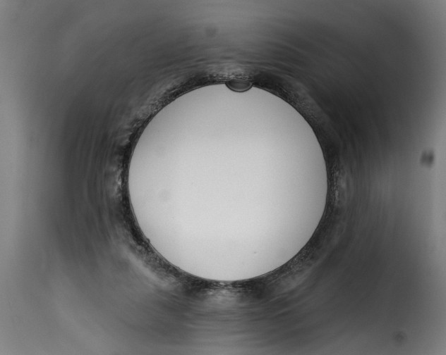 X0000115230259200911201604