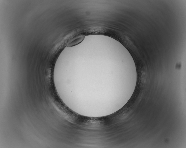 X0000115230260200911201604