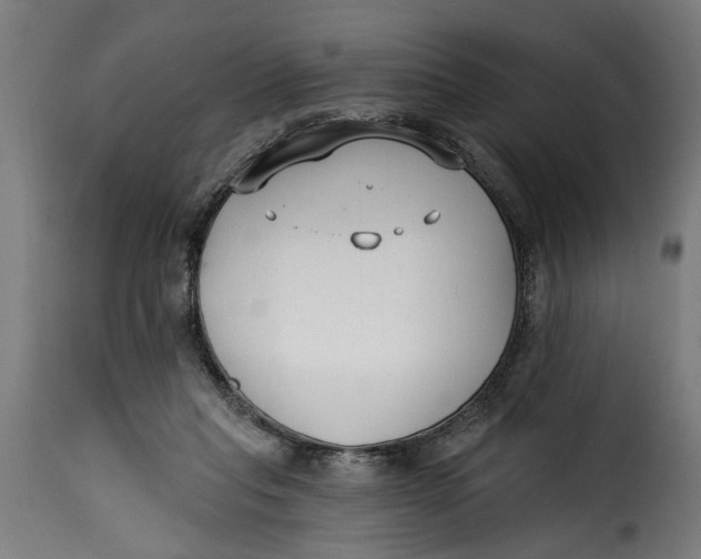 X0000115230261200911201604