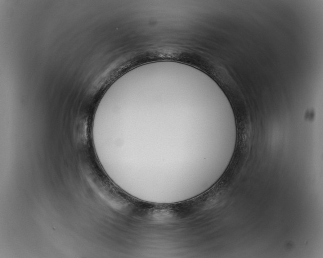 X0000115230262200911201604