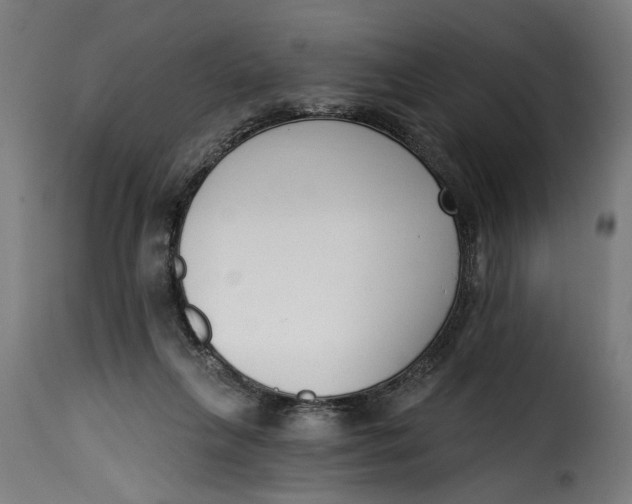 X0000115230263200911201604