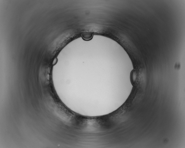 X0000115230264200911201604