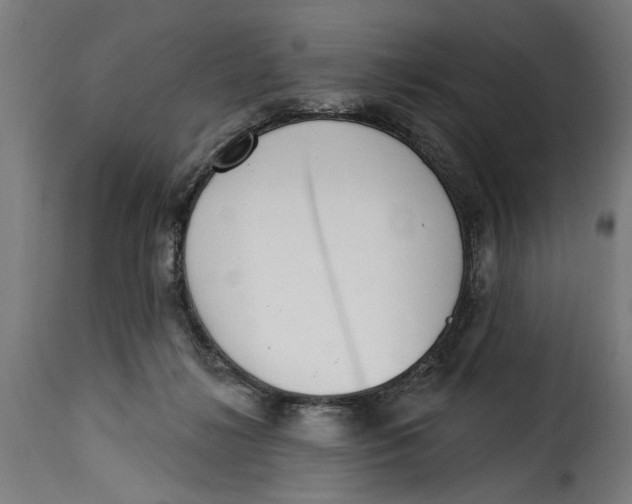 X0000115230268200911201604