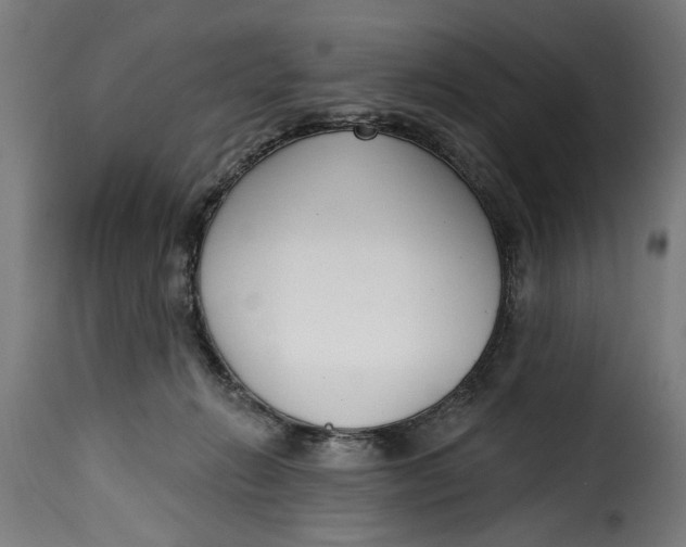 X0000115230270200911201604