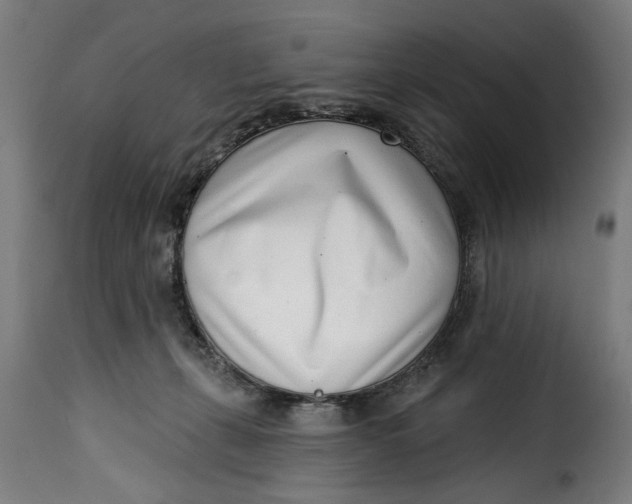 X0000115230271200911201604