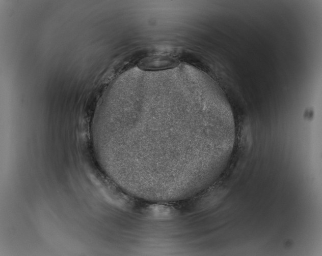 X0000115230272200911201604