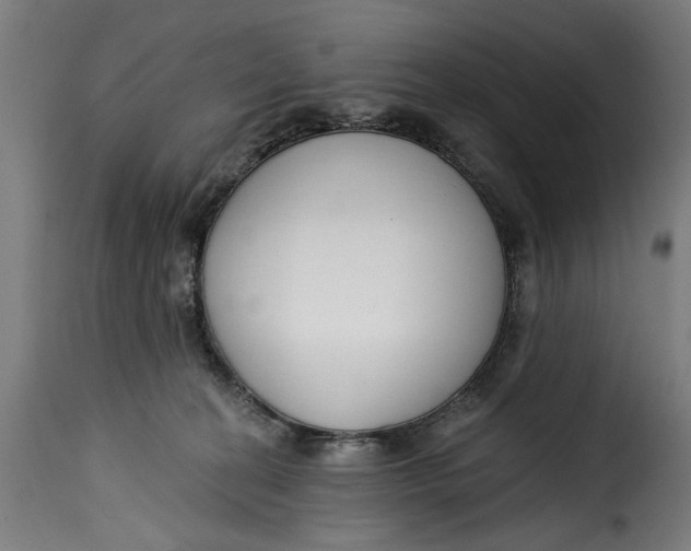 X0000115230274200911201604