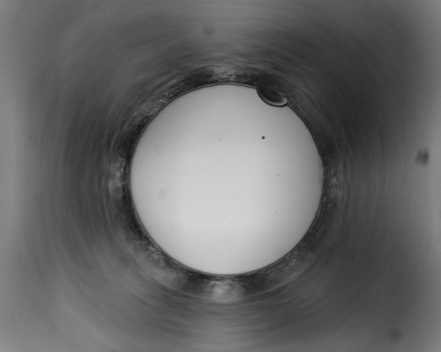 X0000115230275200911201604