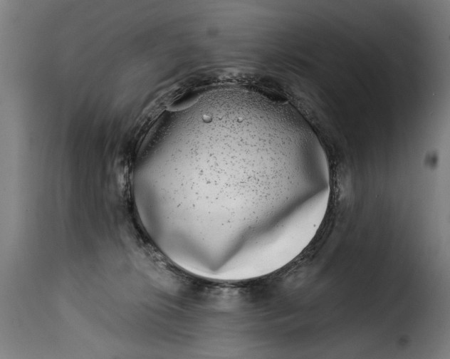 X0000115230276200911201604