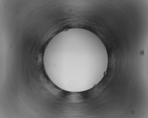 X0000115230278200911201604