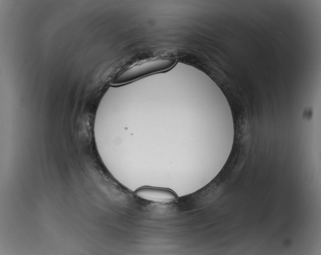 X0000115230280200911201604