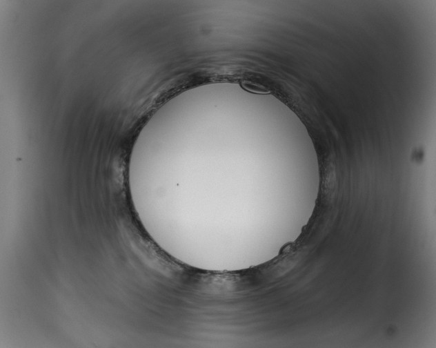 X0000115230282200911201604