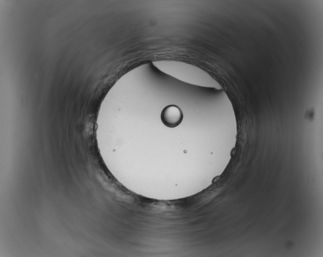 X0000115230284200911201604