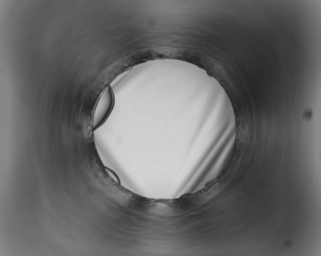 X0000115230285200911201604