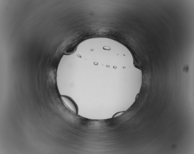 X0000115230286200911201604