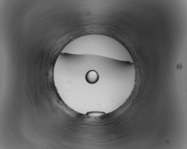 X0000115230288200911201604