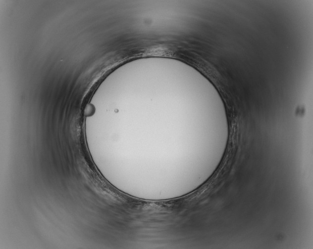 X0000115230290200911201604