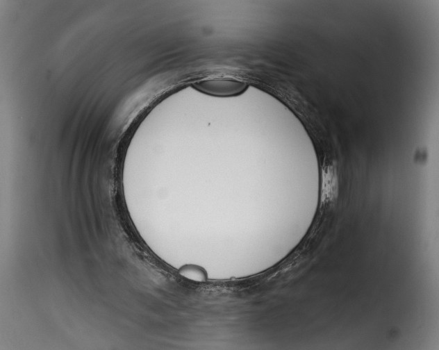 X0000115230291200911201604