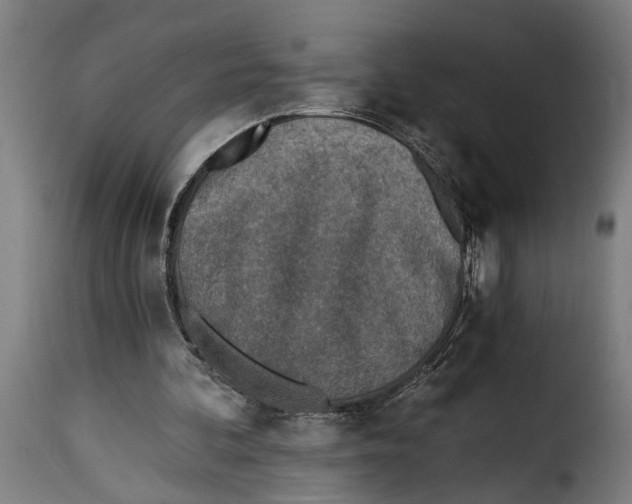 X0000115230292200911201604