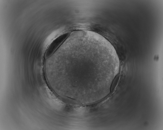 X0000115230293200911201604