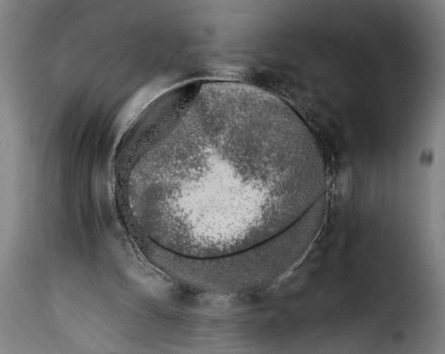 X0000115230294200911201604