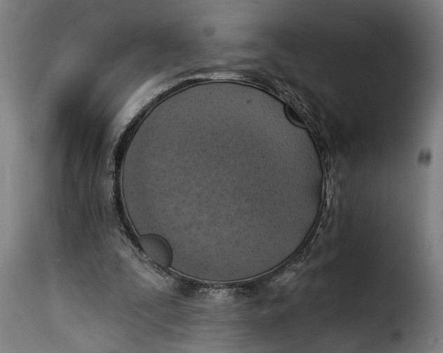 X0000115230295200911201604